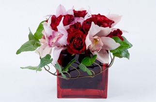 Get Fresh Flowers