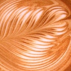 Coffee Culture